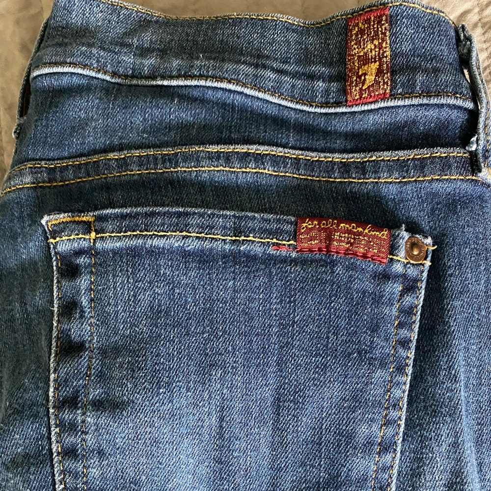 7 for all mankind the skinny jean